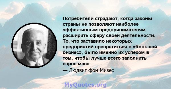 Потребители страдают, когда законы страны не позволяют наиболее эффективным предпринимателям расширить сферу своей деятельности. То, что заставило некоторых предприятий превратиться в «большой бизнес», было именно их