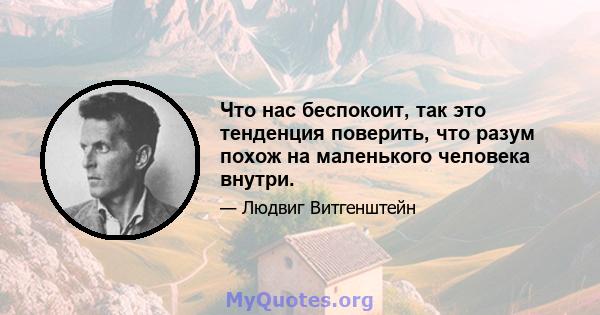 Что нас беспокоит, так это тенденция поверить, что разум похож на маленького человека внутри.