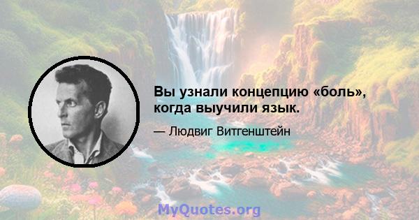 Вы узнали концепцию «боль», когда выучили язык.