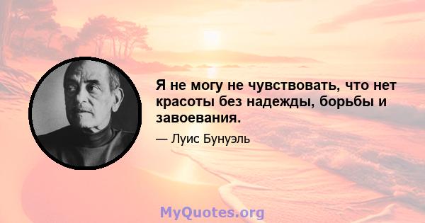 Я не могу не чувствовать, что нет красоты без надежды, борьбы и завоевания.