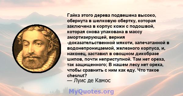 Гайка этого дерева подвешена высоко, обернута в шелковую обертку, которая заключена в корпус кожи с подошвой, которая снова упакована в массу амортизирующей, верния -доказательственной мякоти, запечатанной в