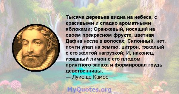 Тысяча деревьев видна на небеса, с красивыми и сладко ароматными яблоками; Оранжевый, носящий на своем прекрасном фрукте, цветная Дафна несла в волосах; Склонный, нет, почти упал на землю, цитрон, тяжелый с его желтой