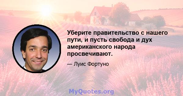 Уберите правительство с нашего пути, и пусть свобода и дух американского народа просвечивают.