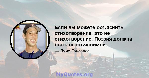 Если вы можете объяснить стихотворение, это не стихотворение. Поэзия должна быть необъяснимой.