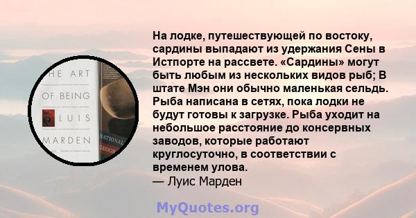 На лодке, путешествующей по востоку, сардины выпадают из удержания Сены в Истпорте на рассвете. «Сардины» могут быть любым из нескольких видов рыб; В штате Мэн они обычно маленькая сельдь. Рыба написана в сетях, пока