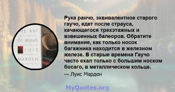 Рука ранчо, эквивалентное старого гаучо, едет после страуса, качающегося трехэтажных и взвешенных балеоров. Обратите внимание, как только носок багажника находится в железном железе. В старые времена Гаучо часто ехал