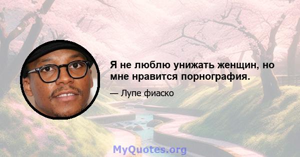 Я не люблю унижать женщин, но мне нравится порнография.