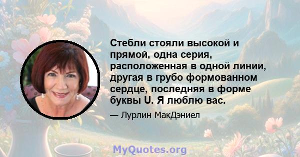 Стебли стояли высокой и прямой, одна серия, расположенная в одной линии, другая в грубо формованном сердце, последняя в форме буквы U. Я люблю вас.