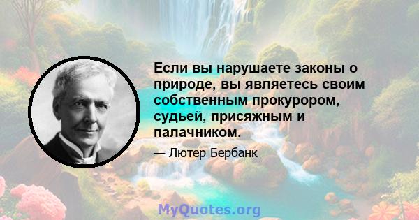 Если вы нарушаете законы о природе, вы являетесь своим собственным прокурором, судьей, присяжным и палачником.