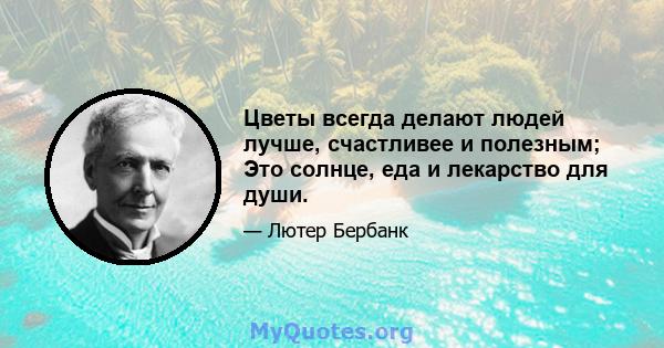 Цветы всегда делают людей лучше, счастливее и полезным; Это солнце, еда и лекарство для души.