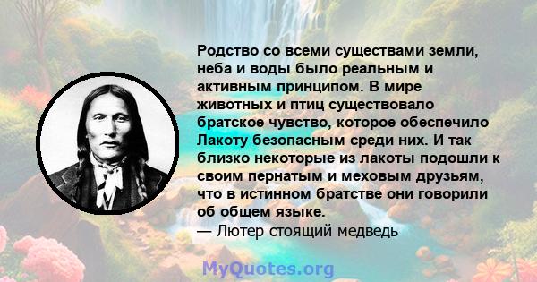 Родство со всеми существами земли, неба и воды было реальным и активным принципом. В мире животных и птиц существовало братское чувство, которое обеспечило Лакоту безопасным среди них. И так близко некоторые из лакоты