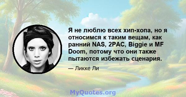 Я не люблю всех хип-хопа, но я относимся к таким вещам, как ранний NAS, 2PAC, Biggie и MF Doom, потому что они также пытаются избежать сценария.