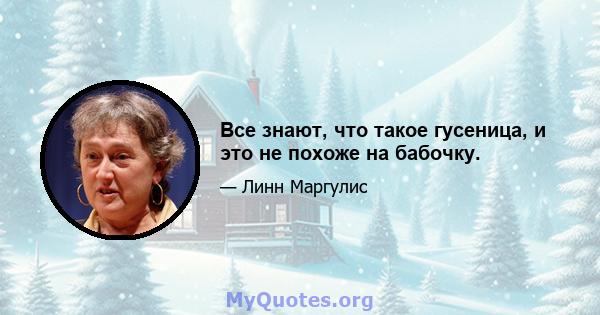 Все знают, что такое гусеница, и это не похоже на бабочку.