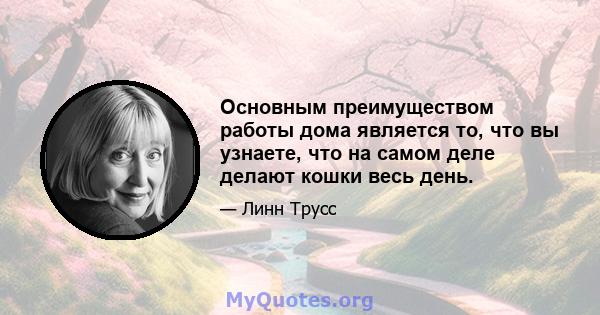 Основным преимуществом работы дома является то, что вы узнаете, что на самом деле делают кошки весь день.