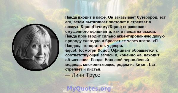 Панда входит в кафе. Он заказывает бутерброд, ест его, затем вытягивает пистолет и стреляет в воздух. "Почему?" спрашивает смущенного официанта, как и панда на выход. Панда производит сильно акцентированную