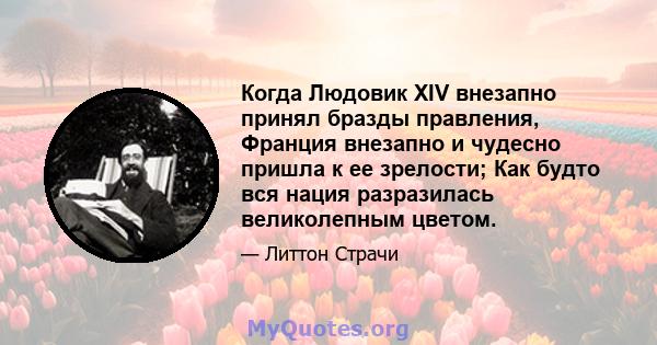 Когда Людовик XIV внезапно принял бразды правления, Франция внезапно и чудесно пришла к ее зрелости; Как будто вся нация разразилась великолепным цветом.