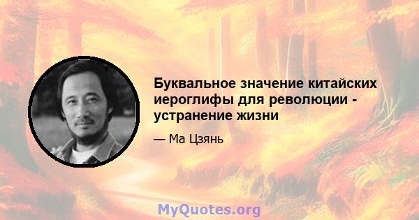 Буквальное значение китайских иероглифы для революции - устранение жизни