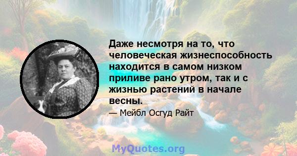 Даже несмотря на то, что человеческая жизнеспособность находится в самом низком приливе рано утром, так и с жизнью растений в начале весны.