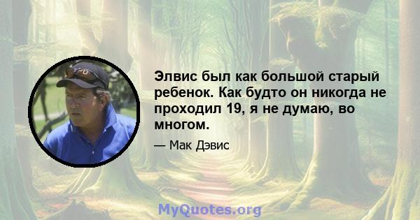 Элвис был как большой старый ребенок. Как будто он никогда не проходил 19, я не думаю, во многом.