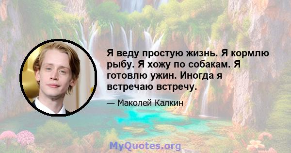 Я веду простую жизнь. Я кормлю рыбу. Я хожу по собакам. Я готовлю ужин. Иногда я встречаю встречу.