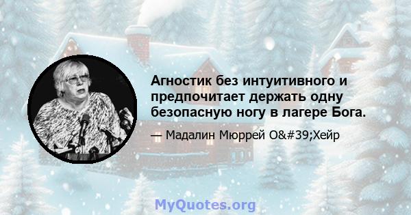 Агностик без интуитивного и предпочитает держать одну безопасную ногу в лагере Бога.