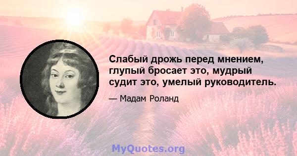 Слабый дрожь перед мнением, глупый бросает это, мудрый судит это, умелый руководитель.