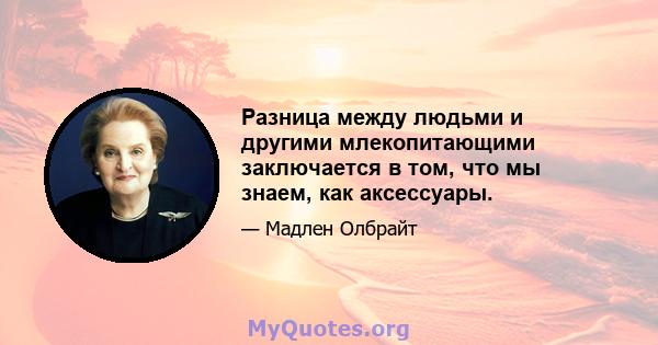 Разница между людьми и другими млекопитающими заключается в том, что мы знаем, как аксессуары.