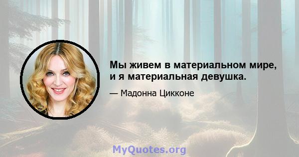 Мы живем в материальном мире, и я материальная девушка.