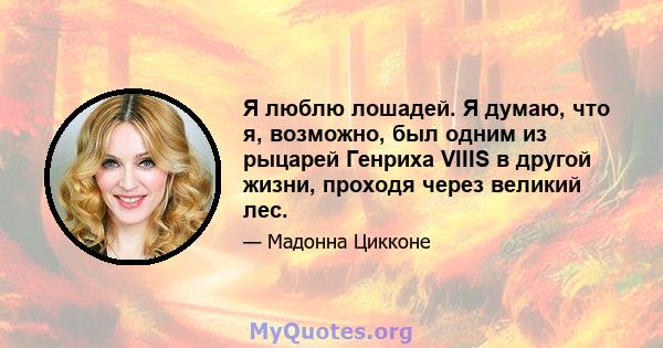 Я люблю лошадей. Я думаю, что я, возможно, был одним из рыцарей Генриха VIIIS в другой жизни, проходя через великий лес.