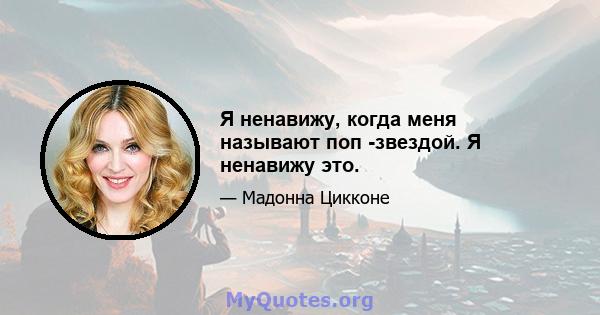 Я ненавижу, когда меня называют поп -звездой. Я ненавижу это.