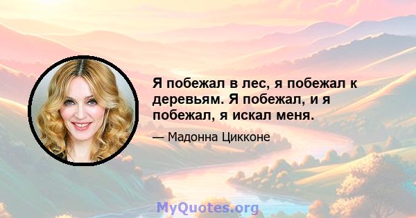 Я побежал в лес, я побежал к деревьям. Я побежал, и я побежал, я искал меня.