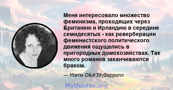 Меня интересовало множество феминизма, проходящих через Британию и Ирландию в середине семидесятых - как реверберации феминистского политического движения ощущались в пригородных домохозяйствах. Так много романов