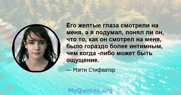 Его желтые глаза смотрели на меня, а я подумал, понял ли он, что то, как он смотрел на меня, было гораздо более интимным, чем когда -либо может быть ощущение.