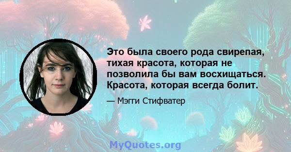 Это была своего рода свирепая, тихая красота, которая не позволила бы вам восхищаться. Красота, которая всегда болит.