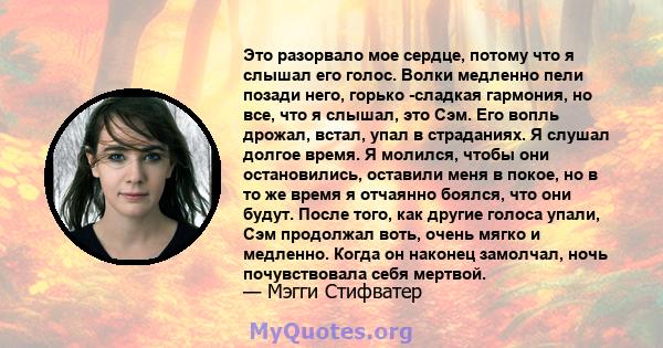 Это разорвало мое сердце, потому что я слышал его голос. Волки медленно пели позади него, горько -сладкая гармония, но все, что я слышал, это Сэм. Его вопль дрожал, встал, упал в страданиях. Я слушал долгое время. Я