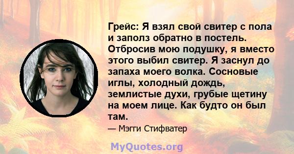 Грейс: Я взял свой свитер с пола и заполз обратно в постель. Отбросив мою подушку, я вместо этого выбил свитер. Я заснул до запаха моего волка. Сосновые иглы, холодный дождь, землистые духи, грубые щетину на моем лице.