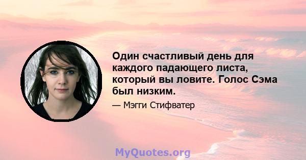 Один счастливый день для каждого падающего листа, который вы ловите. Голос Сэма был низким.