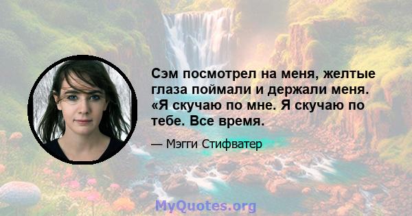 Сэм посмотрел на меня, желтые глаза поймали и держали меня. «Я скучаю по мне. Я скучаю по тебе. Все время.