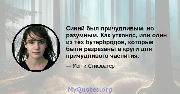 Синий был причудливым, но разумным. Как утконос, или один из тех бутербродов, которые были разрезаны в круги для причудливого чаепития.