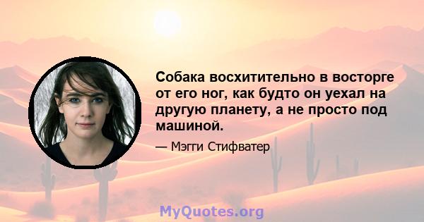 Собака восхитительно в восторге от его ног, как будто он уехал на другую планету, а не просто под машиной.