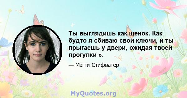 Ты выглядишь как щенок. Как будто я сбиваю свои ключи, и ты прыгаешь у двери, ожидая твоей прогулки ».