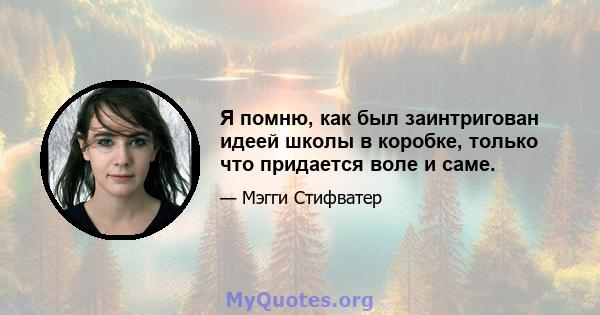 Я помню, как был заинтригован идеей школы в коробке, только что придается воле и саме.