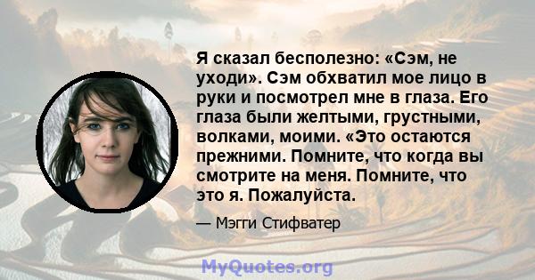 Я сказал бесполезно: «Сэм, не уходи». Сэм обхватил мое лицо в руки и посмотрел мне в глаза. Его глаза были желтыми, грустными, волками, моими. «Это остаются прежними. Помните, что когда вы смотрите на меня. Помните, что 