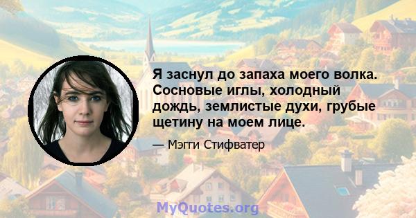 Я заснул до запаха моего волка. Сосновые иглы, холодный дождь, землистые духи, грубые щетину на моем лице.