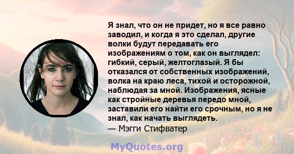 Я знал, что он не придет, но я все равно заводил, и когда я это сделал, другие волки будут передавать его изображениям о том, как он выглядел: гибкий, серый, желтоглазый. Я бы отказался от собственных изображений, волка 