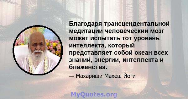 Благодаря трансцендентальной медитации человеческий мозг может испытать тот уровень интеллекта, который представляет собой океан всех знаний, энергии, интеллекта и блаженства.