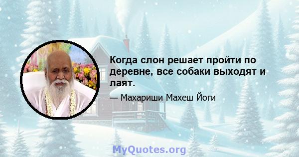 Когда слон решает пройти по деревне, все собаки выходят и лаят.