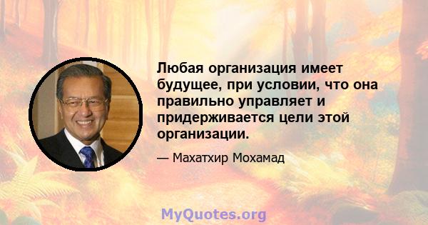 Любая организация имеет будущее, при условии, что она правильно управляет и придерживается цели этой организации.