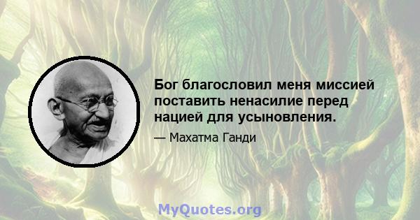 Бог благословил меня миссией поставить ненасилие перед нацией для усыновления.