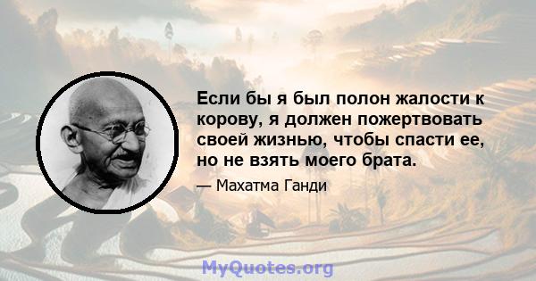 Если бы я был полон жалости к корову, я должен пожертвовать своей жизнью, чтобы спасти ее, но не взять моего брата.